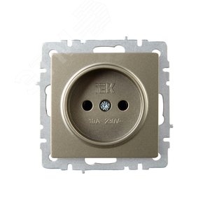 BRITE Розетка без заземления без защитных шторок 10А РС10-1-0-БрШ шампань - фото 2