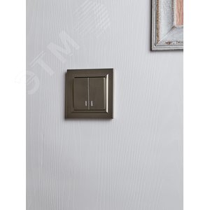 BRITE Выключатель двухклавишный с индикацией 10А ВС10-2-1-БрШ шампань - фото 7