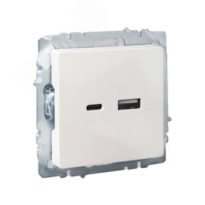 BRITE Розетка USB A+C 18Вт РЮ11-1-БрЖ жемчуг - фото 6