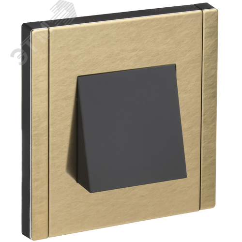 Изображение товара FORTE&PIANO Вывод кабеля FP642M металл шампань IEK (шт)