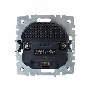 BRITE Розетка с заземлением с защитными шторками 16А с USB A+A 2,1А РЮш10-1-БрС сталь - фото 4