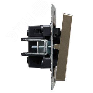 BRITE Выключатель жалюзи 10А ВС10-1-5-БрШ шампань - фото 3