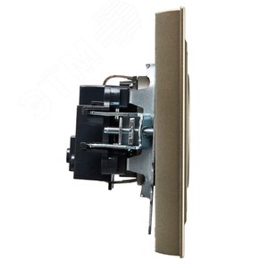 BRITE Розетка 1 пост без заземления без защитных шторок 10А в сборе РСР10-1-0-БрШ шампань IEK - фото 3