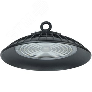 Светильник ДСП 3005 PRO 100Вт 90гр 6500К IP65 алюминий - фото 1