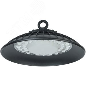 Светильник ДСП 3004 PRO 100Вт 60гр 6500К IP65 алюминий - фото 1