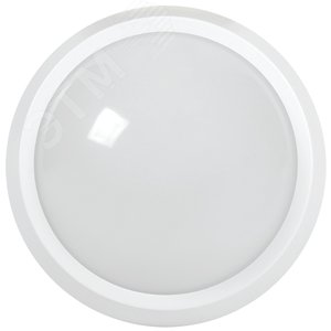 Светильник светодиодный ДПО 5060 24Вт 4000К IP65 круг белый