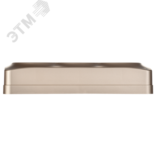 GLORY Розетка 3-местная для открытой установки без заземления без защитных шторок 10А РС23-2-ХШм шампань матовый IEK - фото 2