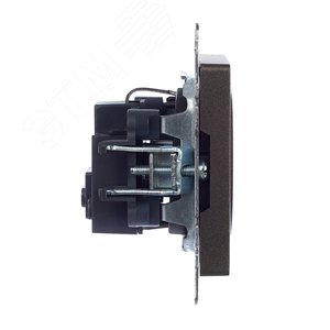 BRITE Розетка с заземлением без защитных шторок 16А РС11-1-0-БрТБ темная бронза - фото 3