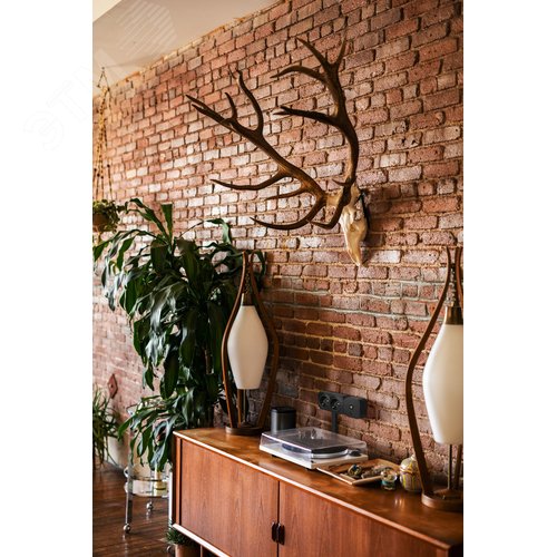 Розетка 2-местная для открытой установки с заземлением без защитных шторок с предварительным подключением 16А черный матовый QUTEO - фото 3