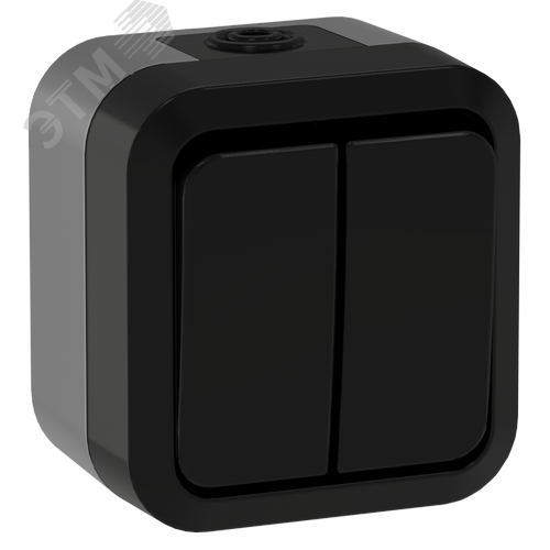 Изображение товара TORS Выключатель двухклавишный проходной 10А IP55 TS125 графит IEK (шт)