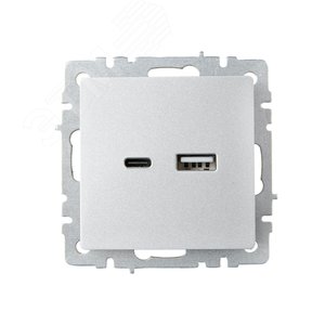 BRITE Розетка USB A+C 18Вт РЮ11-1-БрА алюминий - фото 2