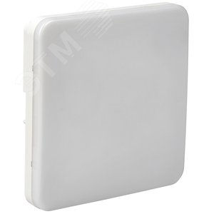 Светильник аварийный ДПА 5000-3 постоянного действия совместим с УДТУ 3 ч IP65 LIGHTING - фото 1