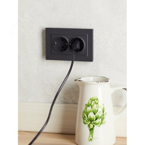 BRITE Розетка двойная с заземлением с защитными шторками 16А в сборе РСш12-3-БрГ графит - фото 6