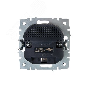 BRITE Розетка с заземлением с защитными шторками 16А с USB A+A 2,1А РЮш10-1-БрА алюминий - фото 4