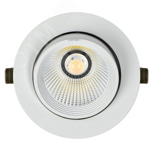 Изображение товара Светильник светодиодный поворотный ДВО 1822 35Вт 4000К IP20 круг белый (шт)