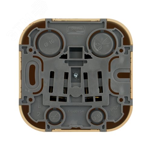 Розетка 1-местная для открытой установки с заземлением с защитными шторками 16Адерево QUTEO - фото 3