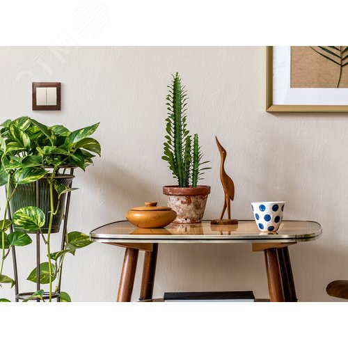 Выключатель 2-клавишный схема 5 10А безвинтовое крепление слоновая кость VALENA - фото 5