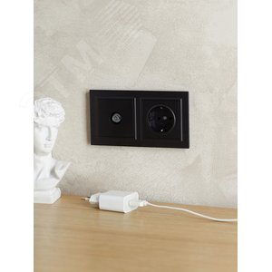 BRITE Рамка 2 поста РУ-2-БрЧ черный - фото 6