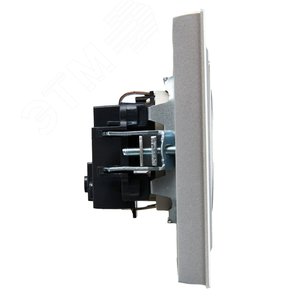 BRITE Розетка 1 пост с заземлением с защитными шторками 16А в сборе РСР14-1-0-БрА алюминий IEK - фото 3