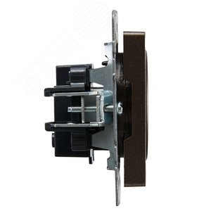 BRITE Розетка без заземления без защитных шторок 10А РС10-1-0-БрТБ темная бронза - фото 3