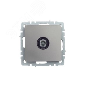 BRITE Розетка TV оконечная РТВ11-0-БрС сталь - фото 2