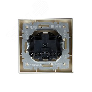 BRITE Розетка 1 пост с заземлением с защитными шторками 16А в сборе РСР14-1-0-БрА алюминий IEK - фото 4