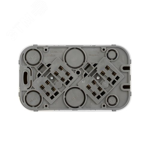 Розетка 2-местная для открытой установки без заземления без защитных шторок с предварительным подключением 16А белый QUTEO - фото 3