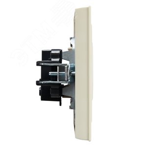 BRITE Розетка 1 пост без заземления без защитных шторок 10А в сборе РСР10-1-0-БрКр бежевый IEK - фото 3