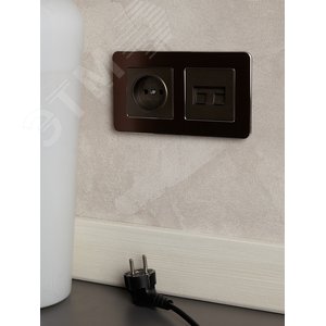 BRITE Розетка без заземления без защитных шторок 10А РС10-1-0-БрТБ темная бронза - фото 7