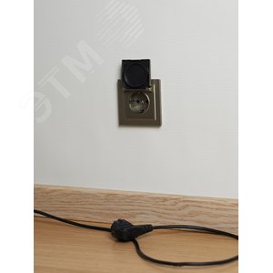 BRITE Розетка с заземлением с защитными шторками и крышкой 16А IP20 РСбш10-3-БрШ шампань - фото 4