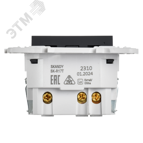 SKANDY Розетка с заземлением с защитными шторками 16А с USB C 18Вт SK-R17T титан IEK - фото 2