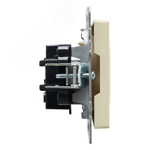 BRITE Розетка без заземления без защитных шторок 10А РС10-1-0-БрКр бежевый - фото 3