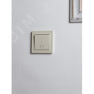 BRITE Выключатель двухклавишный с индикацией 10А ВС10-2-1-БрКр бежевый - фото 7
