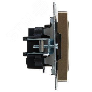 BRITE Розетка 1 пост без заземления с защитными шторками 10А РСш10-2-БрШ шампань IEK - фото 3