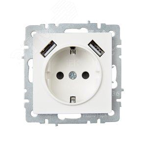 BRITE Розетка с заземлением с защитными шторками 16А с USB A+A 2,1А РЮш10-1-БрЖ жемчуг - фото 2