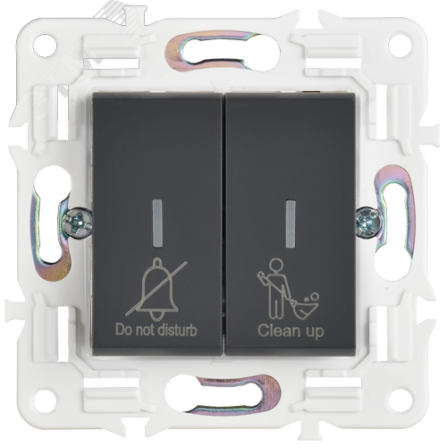 SKANDY Выключатель 2-клавишный с индикацией для отелей 10А SK-V16G графит IEK - фото 4