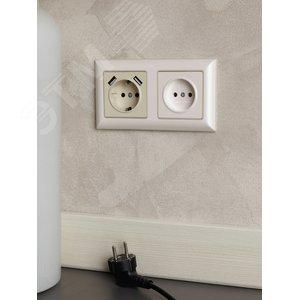 BRITE Розетка с заземлением с защитными шторками 16А с USB A+A 3,1А РЮш10-2-БрКр бежевый - фото 7