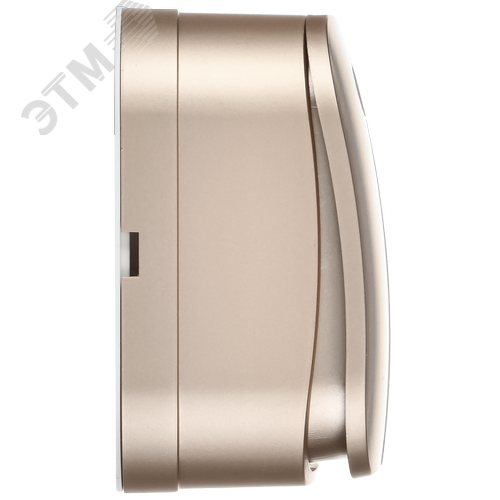 GLORY Выключатель 2-клавишный для открытой установки с индикацией 10А ВС20-2-1-ХШм шампань матовый IEK - фото 2