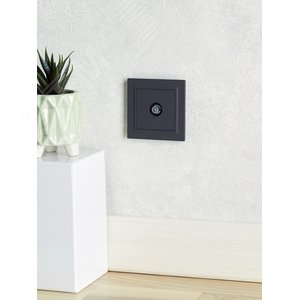 BRITE Розетка TV проходная РТВ10-0-БрГ графит - фото 8