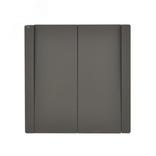 FORTE&PIANO Выключатель 2-клавишный 10А FP305 серый IEK - фото 2