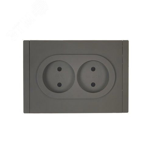 FORTE&PIANO Розетка 2-местная без заземления с защитными шторками безвинтовое крепление 10А FP325 серый IEK - фото 2