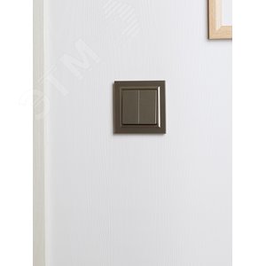 BRITE Рамка 1 пост РУ-1-БрШ шампань - фото 6