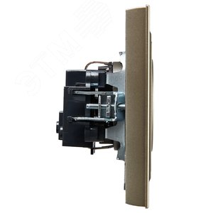 BRITE Розетка 1 пост с заземлением с защитными шторками 16А в сборе РСР14-1-0-БрШ шампань IEK - фото 3