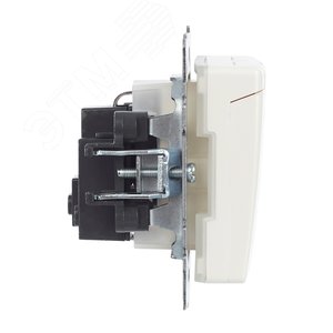 BRITE Розетка с заземлением с защитными шторками и крышкой 16А IP44 РСбш10-3-44-БрЖ жемчуг - фото 6