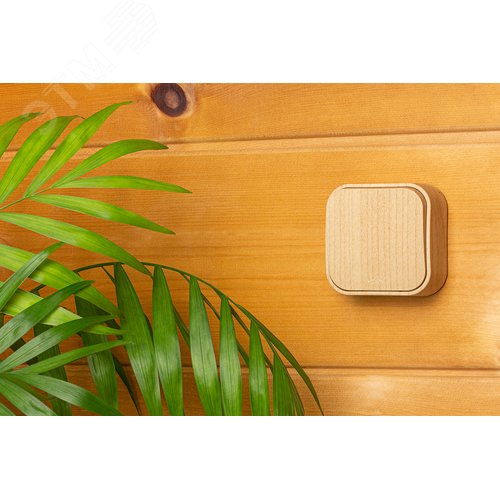 Выключатель 1-клавишный для открытой установки дерево QUTEO - фото 4