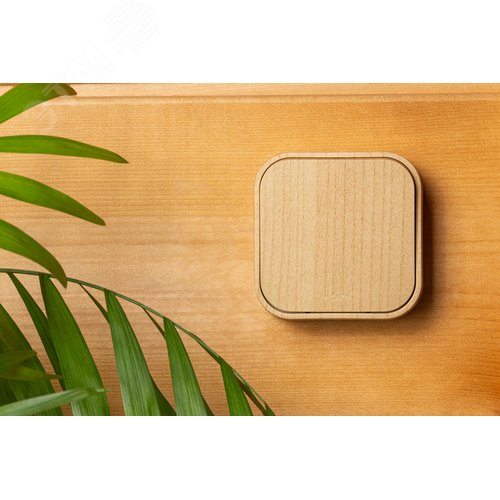 Выключатель 1-клавишный для открытой установки проходной 10А дерево QUTEO - фото 4