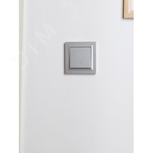 BRITE Рамка 1 пост IP44 РУ-1-БрА-44 алюминий - фото 6