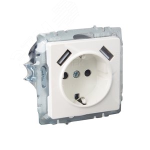 BRITE Розетка с заземлением с защитными шторками 16А с USB A+A 3,1А РЮш10-2-БрЖ жемчуг - фото 6