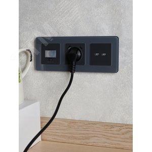BRITE Розетка с заземлением с защитными шторками 16А с USB A+C 18Вт РЮш11-1-БрГ графит - фото 8