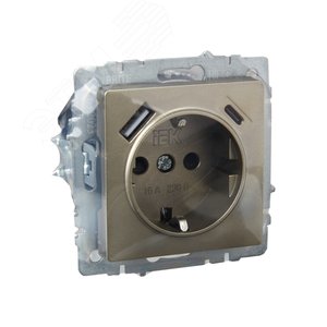 BRITE Розетка с заземлением с защитными шторками 16А с USB A+C 18Вт РЮш11-1-БрШ шампань - фото 7